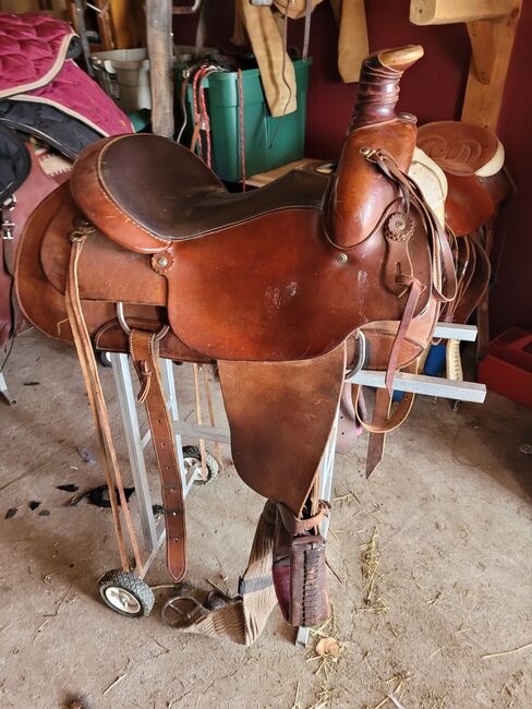 16 in gel seat Colorado roping saddle, Colorado  Comfort Gel seat roper, Dani, Siodło westernowe , Merritt, Image 6