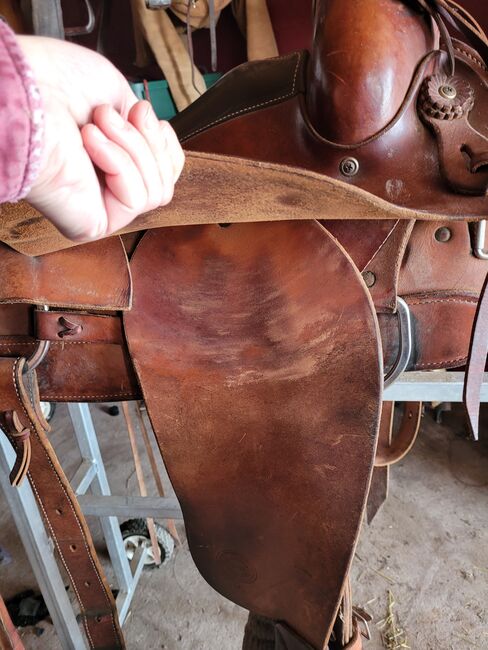 16 in gel seat Colorado roping saddle, Colorado  Comfort Gel seat roper, Dani, Western Saddle, Merritt, Image 4