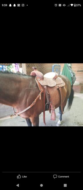 16 inch show saddle, Gavin Bicknell , Western Saddle, Vergennes 