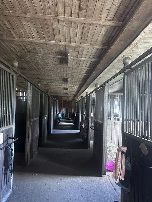 16 Pferdeboxen 3 x 3 m zu verkaufen, Gstaltmayr, Wolfgang Hanreich, Horse & Stable Mats, Steinbrunn