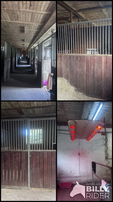16 Pferdeboxen 3 x 3 m zu verkaufen, Gstaltmayr, Wolfgang Hanreich, Horse & Stable Mats, Steinbrunn, Image 5
