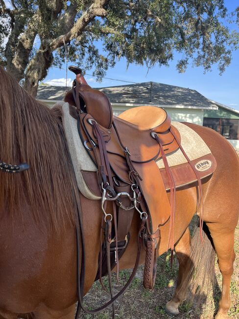 16” Riders’ Choice Trail Lite Western Saddle, Riders’ Choice Trail Lite, Amy Strother, Siodło westernowe , Haines City, Image 11