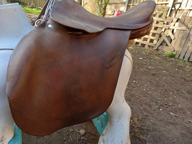16"  saddle, Romany Eggerton , All Purpose Saddle, Wakefield , Image 2