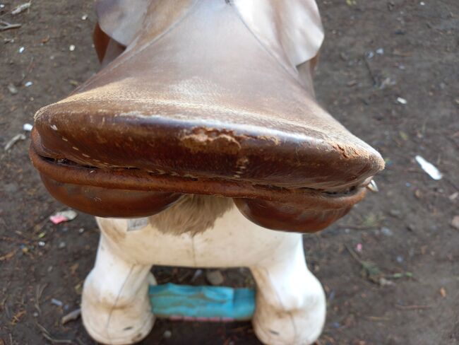 16"  saddle, Romany Eggerton , Siodła wszechstronne, Wakefield , Image 3