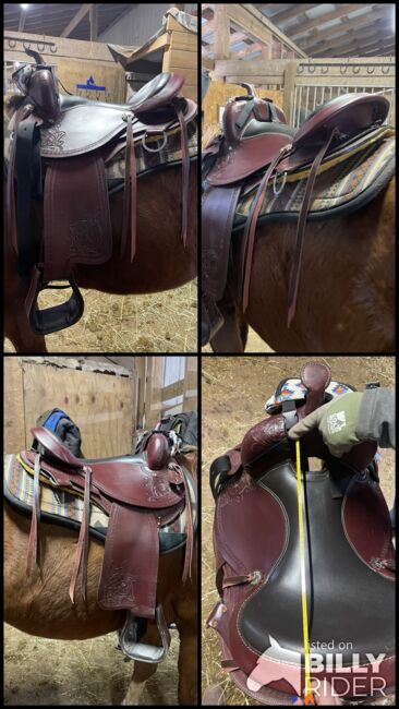 16” Western Cloverleaf Saddle Company Saddle, Cloverleaf Saddle Company, Amber Bray, Siodło westernowe , Mcadoo, Image 5