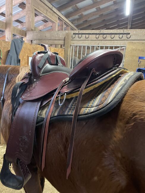 16” Western Cloverleaf Saddle Company Saddle, Cloverleaf Saddle Company, Amber Bray, Westernsattel, Mcadoo, Abbildung 2