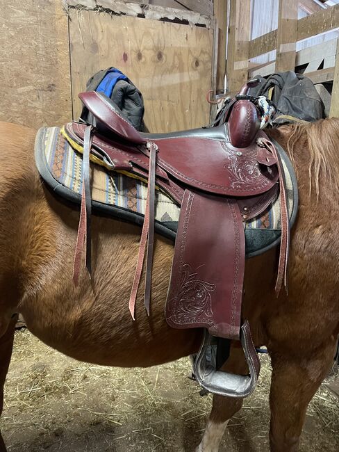 16” Western Cloverleaf Saddle Company Saddle, Cloverleaf Saddle Company, Amber Bray, Westernsattel, Mcadoo, Abbildung 3