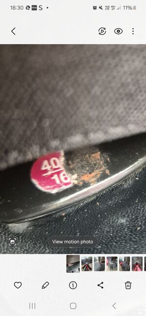 16" Wintec Saddle, Wintec  250 Pony, Amanda Russell, Other Saddle, Coatbridge , Image 7