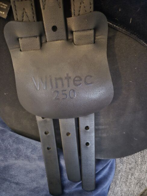 16" Wintec Saddle, Wintec  250 Pony, Amanda Russell, Pozostałe siodła, Coatbridge , Image 2