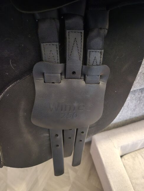 16" Wintec Saddle, Wintec  250 Pony, Amanda Russell, Pozostałe siodła, Coatbridge , Image 3