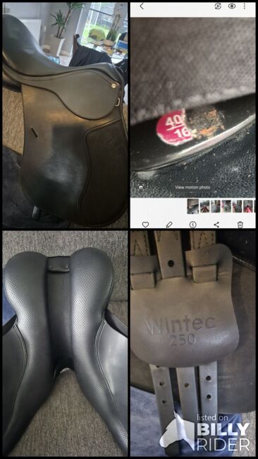 16" Wintec Saddle, Wintec  250 Pony, Amanda Russell, Sonstiger Sattel, Coatbridge , Abbildung 8