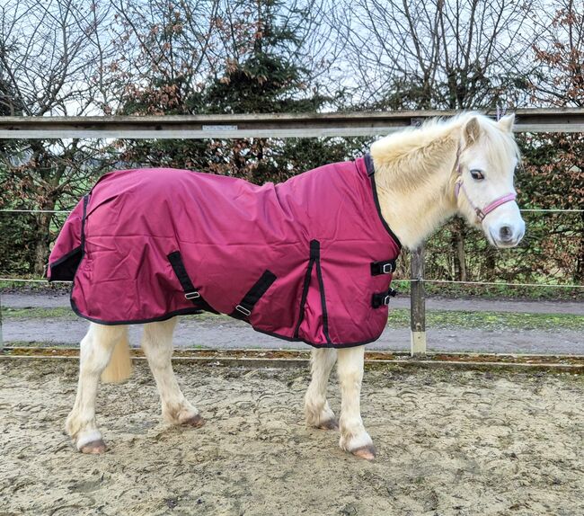 1680D Highneck Regendecke Pony 115 125 Winterdecke 50g weinrot 5000mm, BTS Bywater International Clothing 1680D Highneck Regendecke Pony mit 50g blau, Reitartikelbörse (Reitartikelbörse - Onlineshop für Wanderreiter), Pferdedecken, Grevenbroich