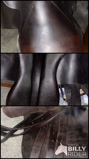 16inch seat no name brand, Danielle Balducci , All Purpose Saddle, Walden, Image 4