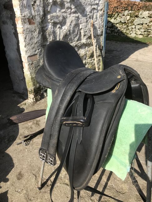 17.5 dressage saddle changeable gullet wintec Isobel, Isobel wintec Isoble, Amy gaffney, Dressage Saddle, Dumfries