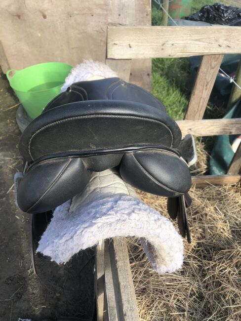 17.5 inch gp saddle, Optimus, Olivia roebuck , All Purpose Saddle, Barnsley , Image 5