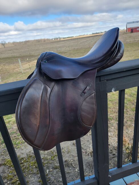 17.5 stubben, Stubben  Rocanne, Angela, Jumping Saddle, Wapakoneta, Image 5