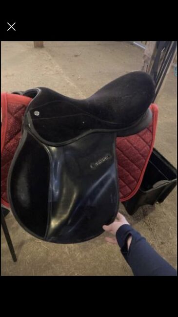 17.5 Thorowgood Saddle, Thorowgood Maxam, Kayley Rowe, All Purpose Saddle, Milton keynes , Image 2