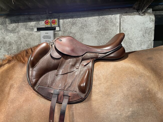 17.5” Wide Patriot Monoflap Jump Saddle, Patriot (Ideal), Louise Donnelly, Jumping Saddle, Glasgow