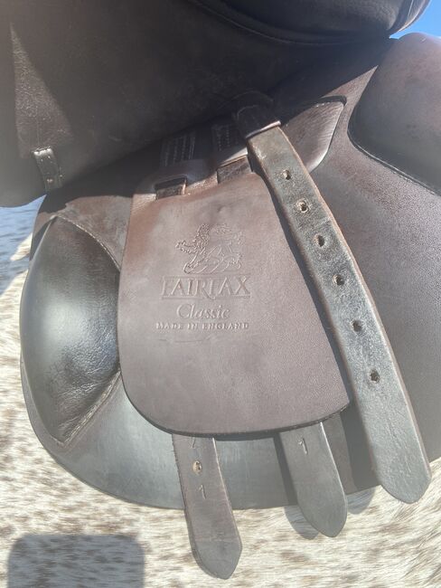 17.5 Wool Flocked Fairfax Jump Saddle, Fairfax Classic Jump Saddle, Shannon Maggio, Jumping Saddle, Winter Garden, Image 18