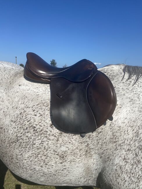 17.5 Wool Flocked Fairfax Jump Saddle, Fairfax Classic Jump Saddle, Shannon Maggio, Jumping Saddle, Winter Garden, Image 26