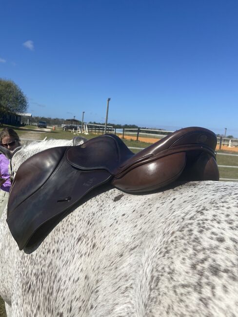 17.5 Wool Flocked Fairfax Jump Saddle, Fairfax Classic Jump Saddle, Shannon Maggio, Jumping Saddle, Winter Garden, Image 5