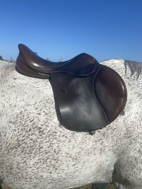 17.5 Wool Flocked Fairfax Jump Saddle, Fairfax Classic Jump Saddle, Shannon Maggio, Jumping Saddle, Winter Garden, Image 27