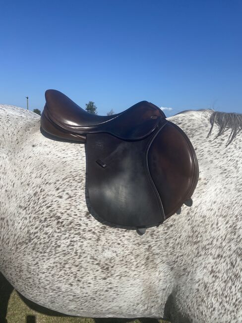 17.5 Wool Flocked Fairfax Jump Saddle, Fairfax Classic Jump Saddle, Shannon Maggio, Siodła skokowe, Winter Garden, Image 33