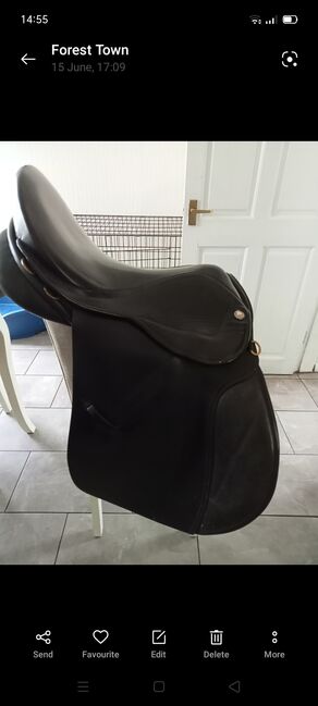 17.5in med saddle, Nicola , All Purpose Saddle, Mansfield, Image 2