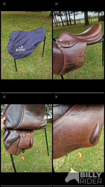 17 inch xperience saddle, Prestige  Xperience, Emma Dawkins, Jumping Saddle, Loxley, Image 9