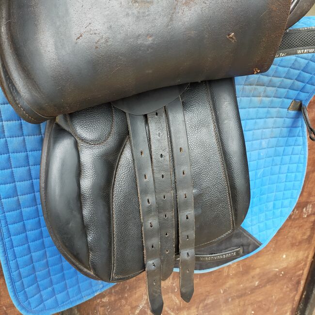 17" leather saddle, Hastilow, Almut, All Purpose Saddle, Exeter, Image 2