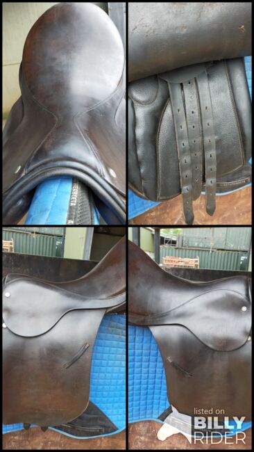 17" leather saddle, Hastilow, Almut, All Purpose Saddle, Exeter, Image 5