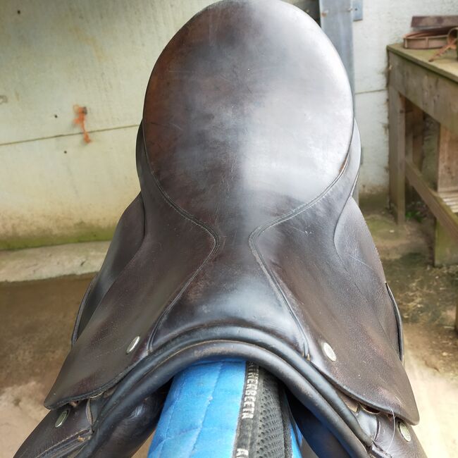 17" leather saddle, Hastilow, Almut, Siodła wszechstronne, Exeter