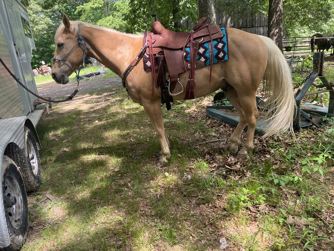 17” Scott Thomas Ranch Cutter, Scott Thomas RC 300, Kayla McDaniel , Westernsattel, West Paducah , Abbildung 6