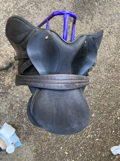 17” Thorowgood saddle with girth and stirrups, Thorowgood , Tayler duff, Sonstiger Sattel, St helens 