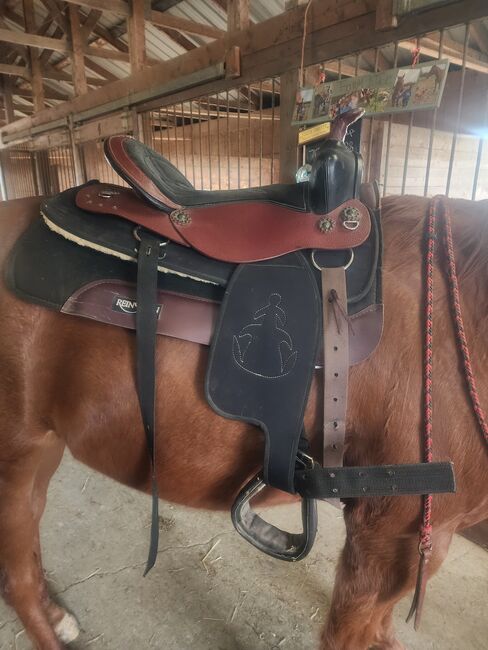 17" western saddle, Grace, Westernsattel, Fayetteville