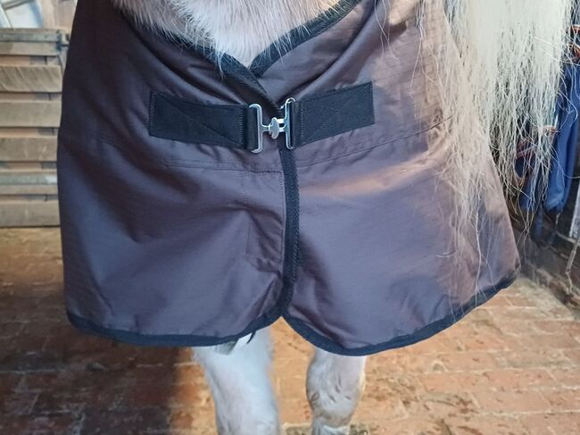 170€% NEU 600D braun BTS Regendecke m. Fleece braun KALTBLUT Freiberger Noriker Haflinger 59 €, BTS Bywater  Regendecke m. dickem Fleece für Freiberger Noriker Haflinger, Reitartikelbörse (Reitartikelbörse - Onlineshop für Wanderreiter), Pferdedecken, Grevenbroich, Abbildung 2