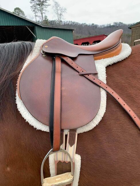 17in Crosby AP Saddle, Paige Byerly, All Purpose Saddle, Lafayette , Image 3