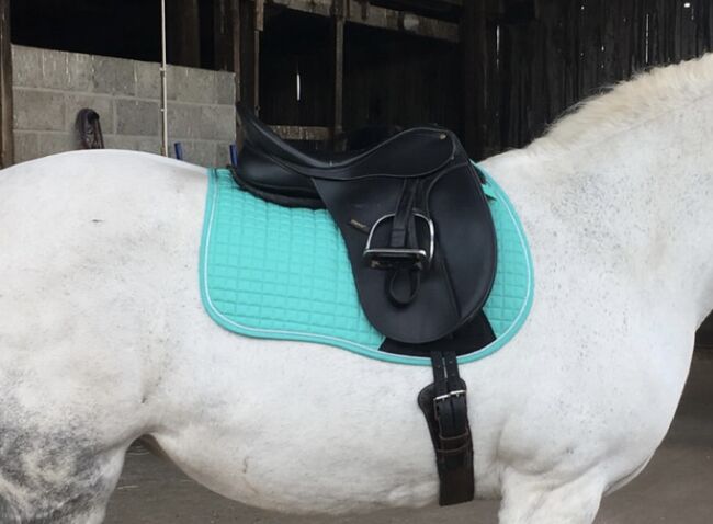 18” Wintec adjustable Dressage Saddle, Wintec Wintec dressage saddle , Louise , Dressursattel, Tranent