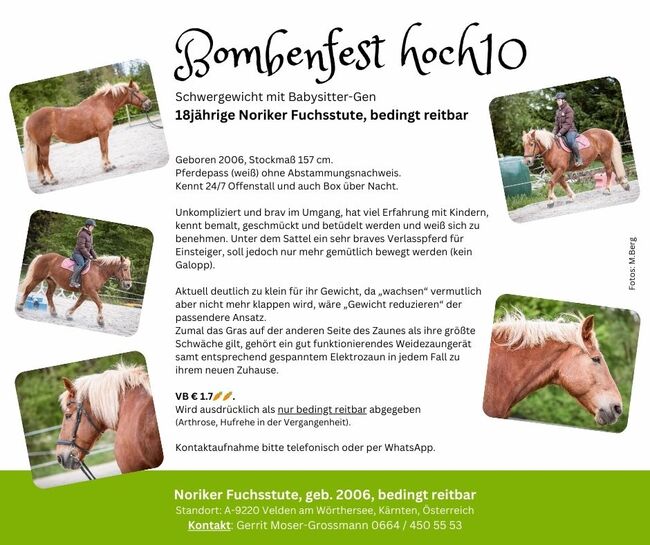 18jährige Noriker-Fuchsstute, bedingt reitbar, Andrea, Pferd kaufen, Velden am Wörthersee
