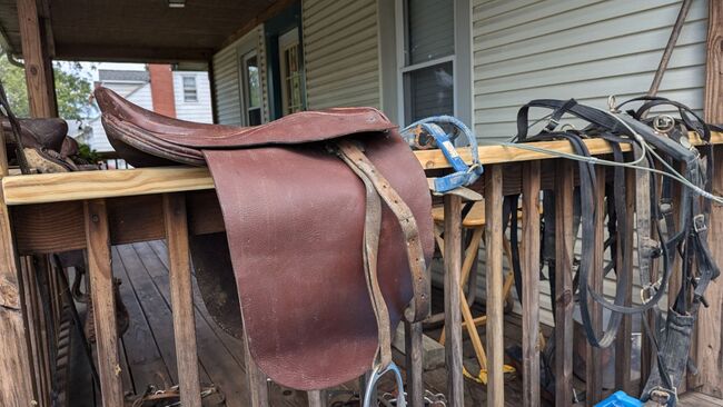 19.5-20" saddles (3) straps,harnesses, riding equipment, Multiple brands, Samantha Meade, For Horses, Lorain, Image 6