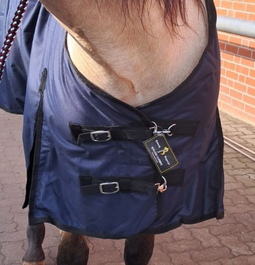 199€% 600D BTS Regendecke 100g Winterdecke nightblue blau 165cm, BTS Bywater  600D Regendecke mit 100g Wattierung, Reitartikelbörse (Reitartikelbörse - Onlineshop für Wanderreiter), Horse Blankets, Sheets & Coolers, Grevenbroich, Image 4