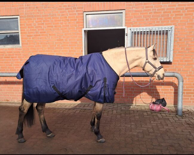 199€% 600D BTS Regendecke 100g Winterdecke nightblue blau 165cm, BTS Bywater  600D Regendecke mit 100g Wattierung, Reitartikelbörse (Reitartikelbörse - Onlineshop für Wanderreiter), Horse Blankets, Sheets & Coolers, Grevenbroich