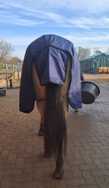 199€% 600D BTS Regendecke 100g Winterdecke nightblue blau 165cm, BTS Bywater  600D Regendecke mit 100g Wattierung, Reitartikelbörse (Reitartikelbörse - Onlineshop für Wanderreiter), Horse Blankets, Sheets & Coolers, Grevenbroich, Image 2