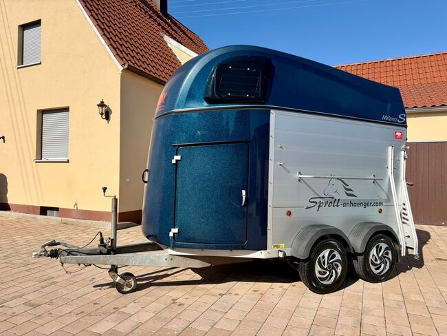 ❗️1A Blomert New Star Alu ALUBODEN Pferdeanhänger Pferdehänger, Blomert  New Star, Fuchs Daniel, Ellgau - Pferdeanhänger seit 2016  (Nutzfahrzeughandel und Vermietung Daniel Fuchs ), Horse Trailers, Ellgau 