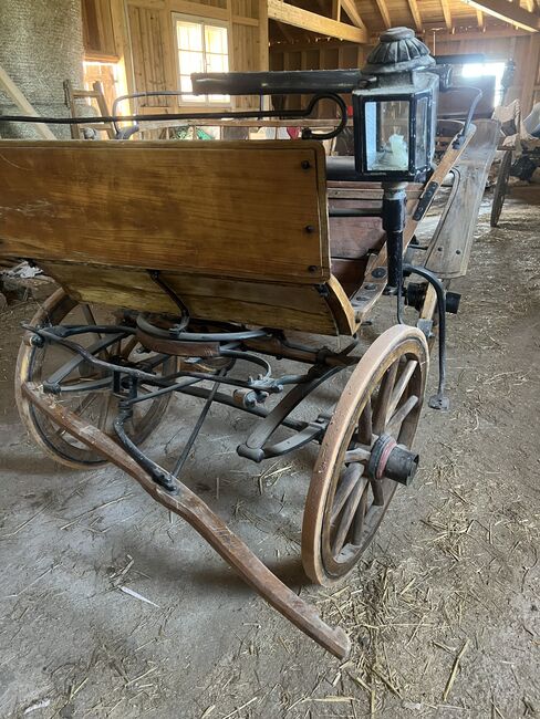 1spänner Kutsche, Helena Henninger, Carriages, Steyregg, Image 5