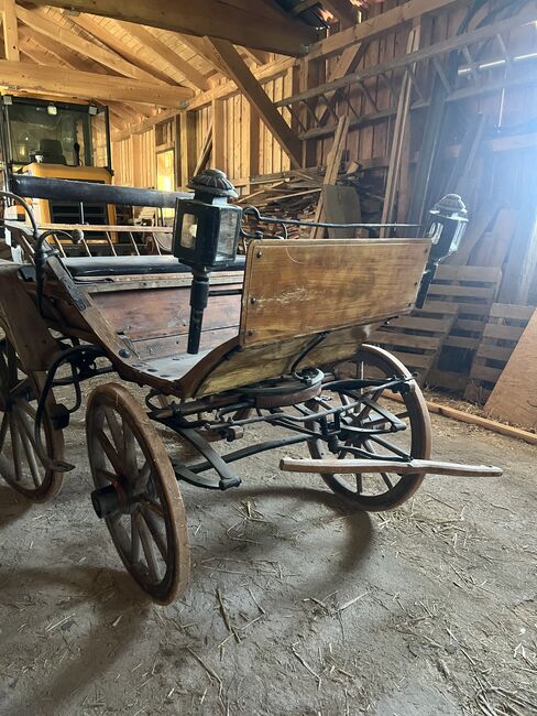 1spänner Kutsche, Helena Henninger, Carriages, Steyregg