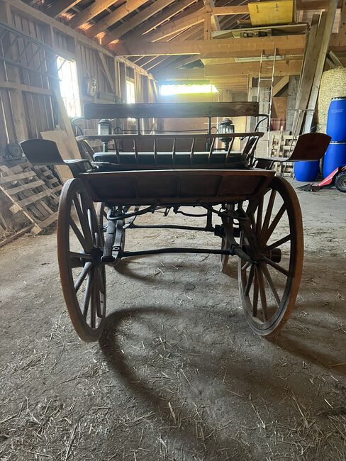 1spänner Kutsche, Helena Henninger, Carriages, Steyregg, Image 9
