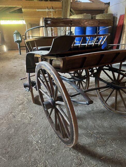 1spänner Kutsche, Helena Henninger, Carriages, Steyregg, Image 8