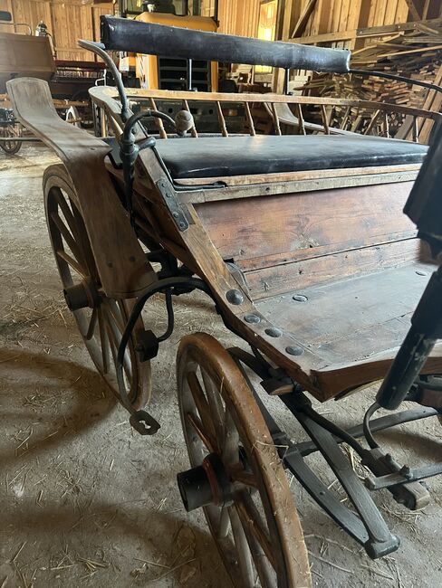 1spänner Kutsche, Helena Henninger, Carriages, Steyregg, Image 3