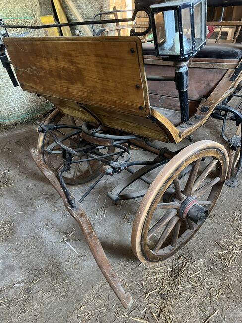 1spänner Kutsche, Helena Henninger, Carriages, Steyregg, Image 4